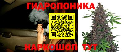 амф Донецк