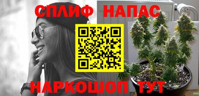 mdpv Донской
