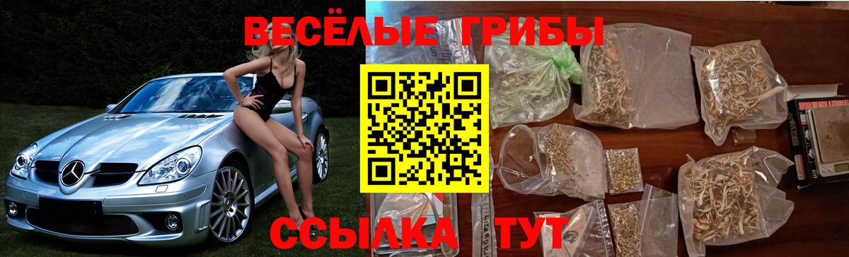 Псилоцибиновые грибы Psilocybine cubensis  Вход с VPN  Луховицы 